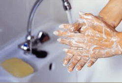 Organic Pesticide and Organic sanitizer